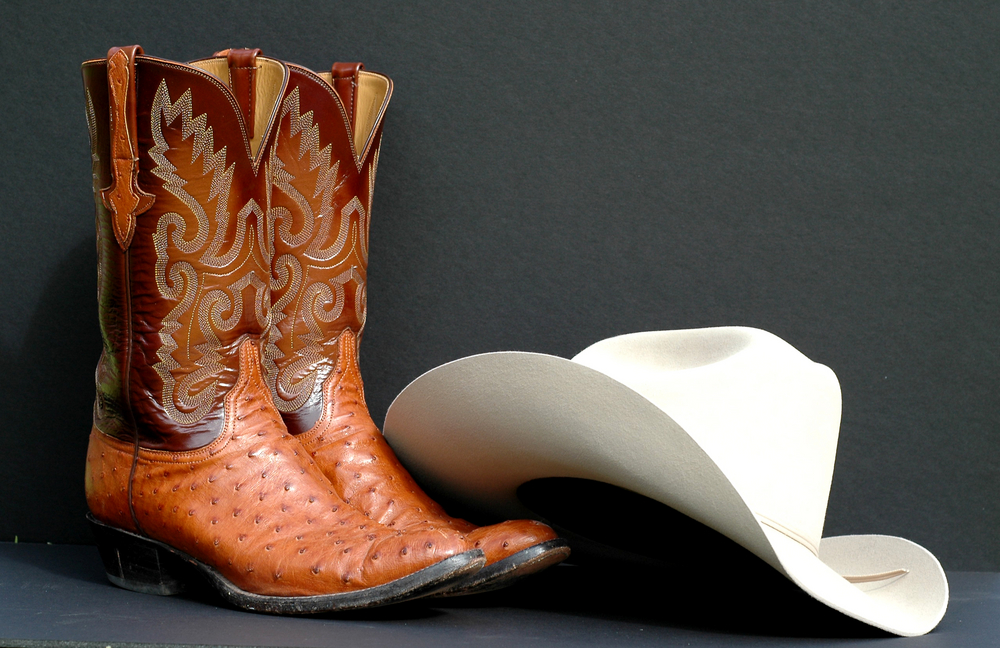 A,Pair,Of,Men's,Cowboy,Boots,And,A,Dress,Cowboy
