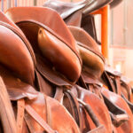 Saddle