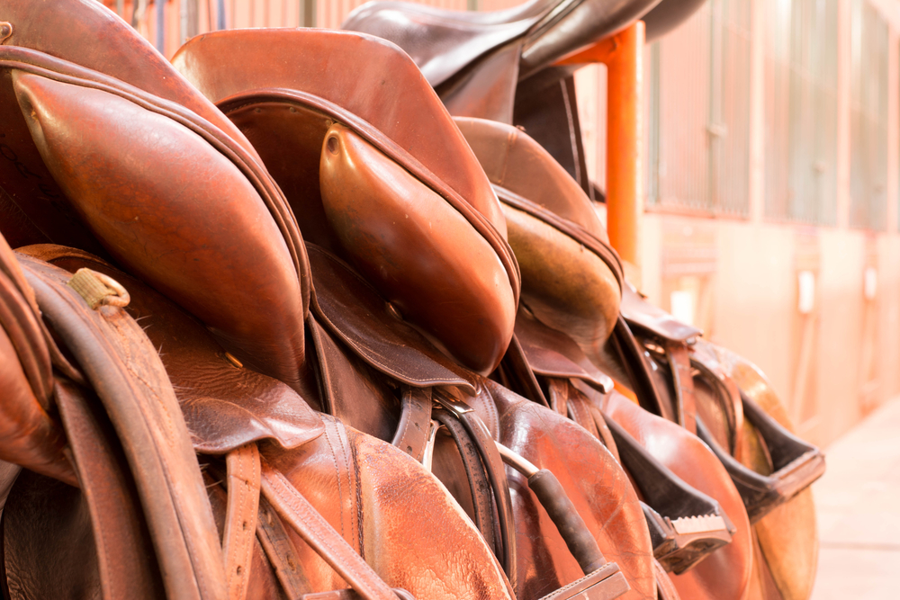 Saddle
